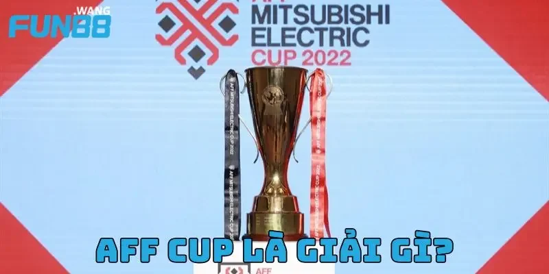 AFF Cup là giải gì? Việt Nam vô địch AFF Cup bao nhiêu lần?