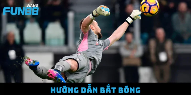 Hướng dẫn bắt bóng