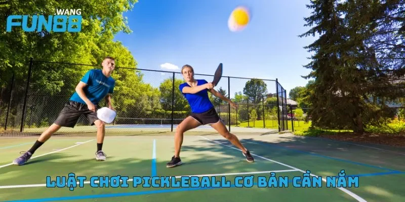 Hướng dẫn cách chơi Pickleball từ A đến Z cho người mới 2 Quả bóng pickleball là loại nhựa nhẹ, có nhiều lỗ nhỏ